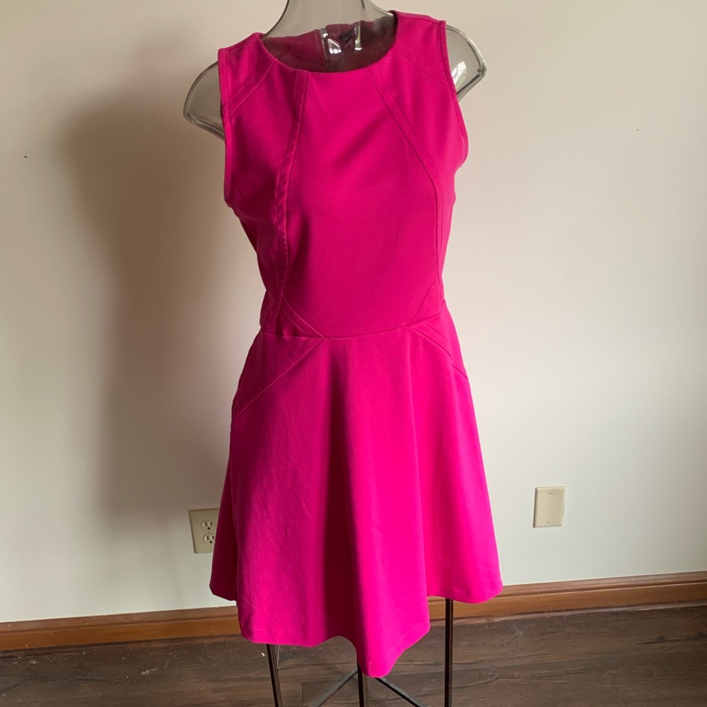 Fit and Flare pink dress